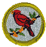 Bird Study Merit Badge