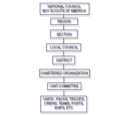 BSA Org Chart