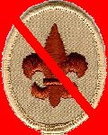 Scout Badge