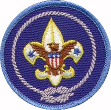 International Activity Badge